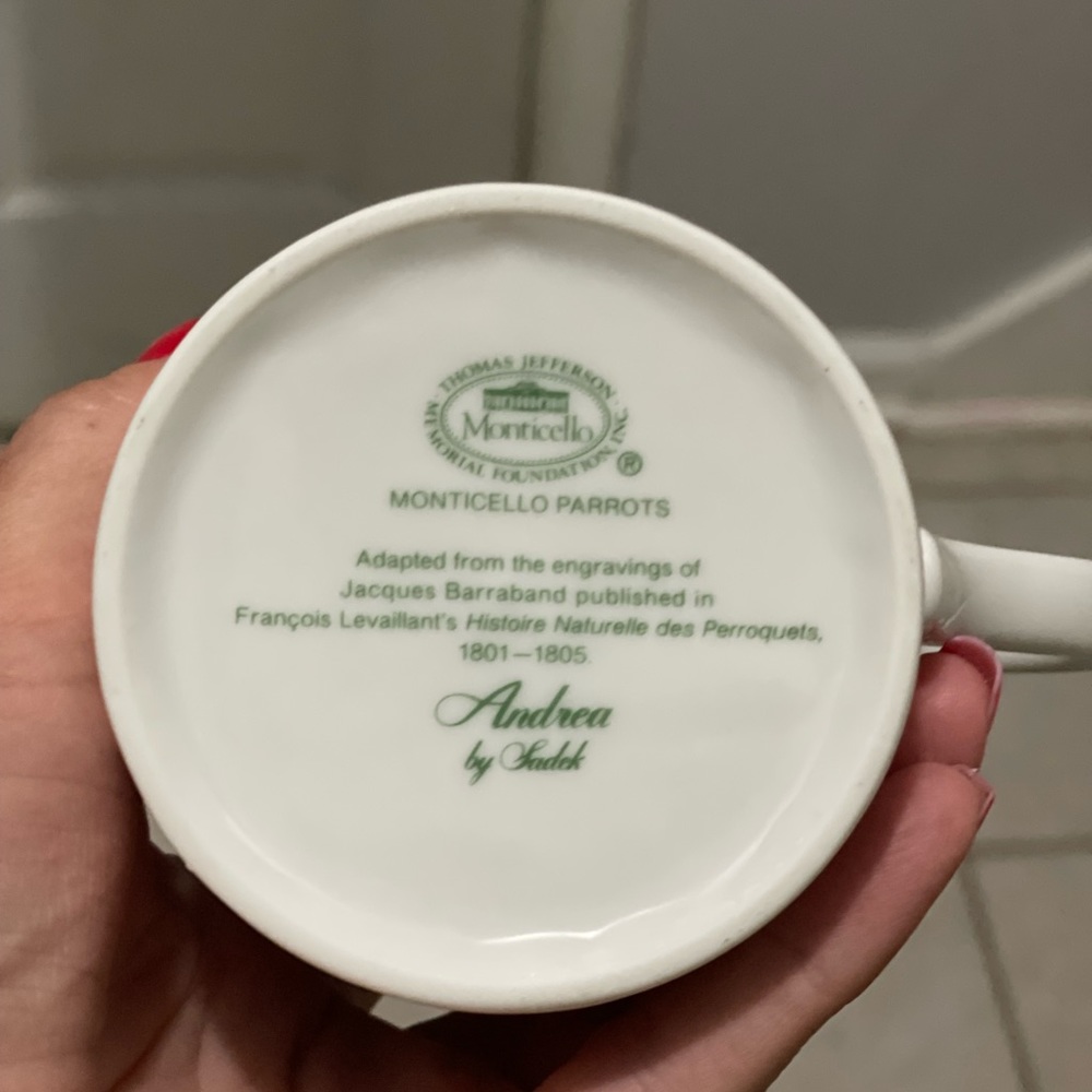 4 Monticello Parrots Cups